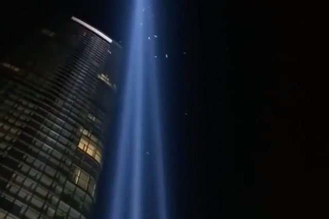 Birds gathering during last month's Tribute In Light